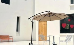 不用播放器的h网